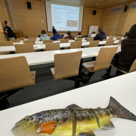 Cours SaNa du 8 mars 2025