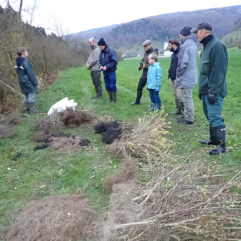 Compte rendu des travaux du patrimoine 2025