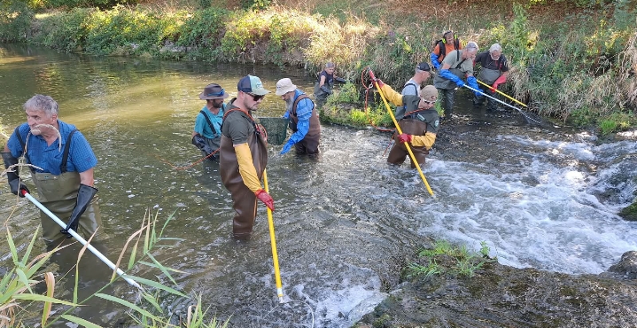 Une pêche exhaustive dans l’Allaine à Boncourt